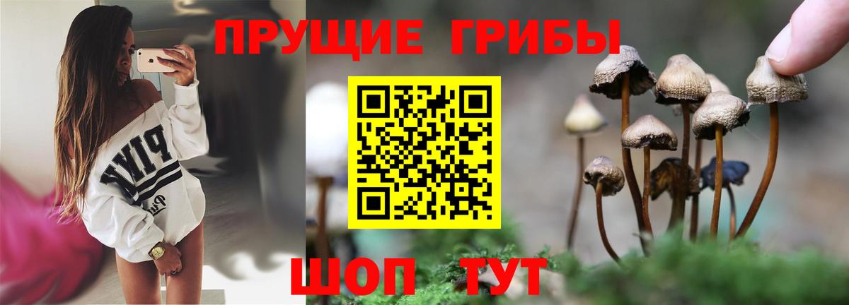 как найти закладки  Галлюциногенные грибы мицелий  Вход с VPN  Губаха 